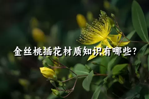 金丝桃插花材质知识有哪些？