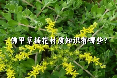 佛甲草插花材质知识有哪些？