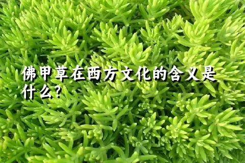 佛甲草在西方文化的含义是什么？