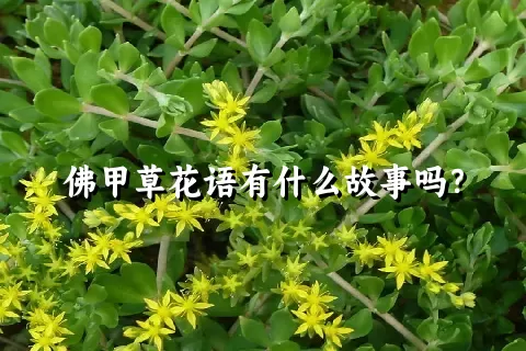 佛甲草花语有什么故事吗？