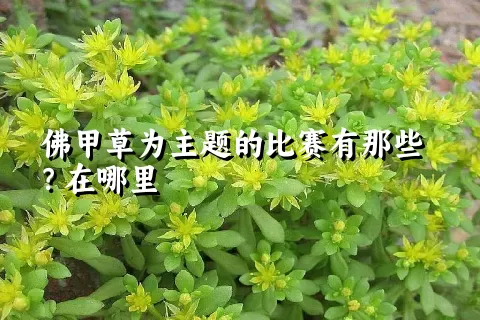 佛甲草为主题的比赛有那些？在哪里