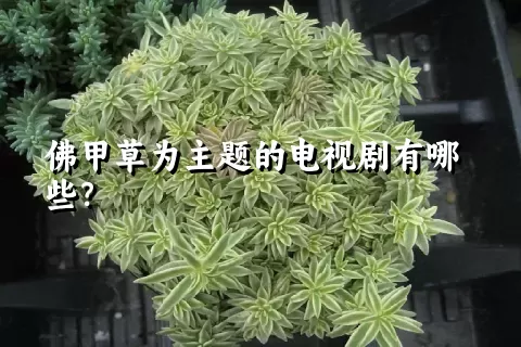 佛甲草为主题的电视剧有哪些？