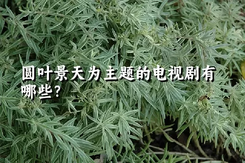 圆叶景天为主题的电视剧有哪些？