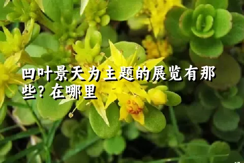 凹叶景天为主题的展览有那些？在哪里