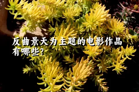 反曲景天为主题的电影作品有哪些？