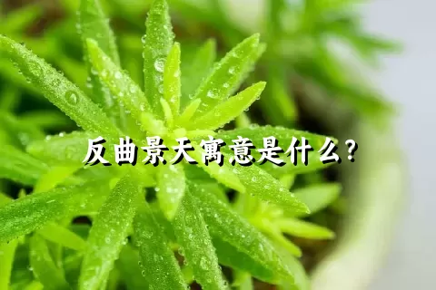 反曲景天寓意是什么？