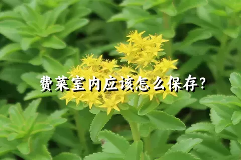 费菜室内应该怎么保存？