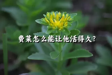 费菜怎么能让他活得久？