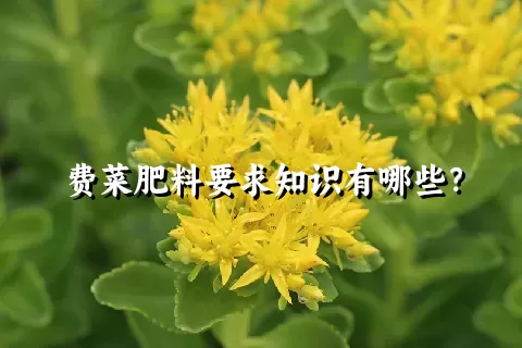 费菜肥料要求知识有哪些？