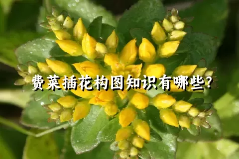 费菜插花构图知识有哪些？