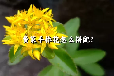 费菜手捧花怎么搭配？