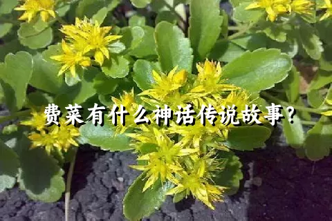 费菜有什么神话传说故事？