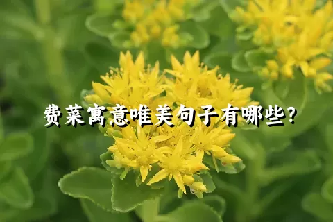 费菜寓意唯美句子有哪些？