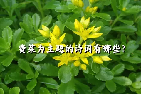 费菜为主题的诗词有哪些？