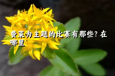 费菜为主题的比赛有那些？在哪里