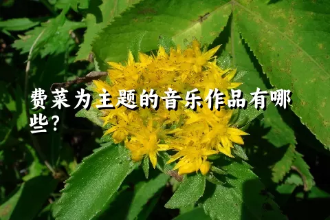 费菜为主题的音乐作品有哪些？