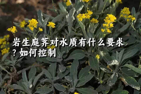 岩生庭荠对水质有什么要求？如何控制