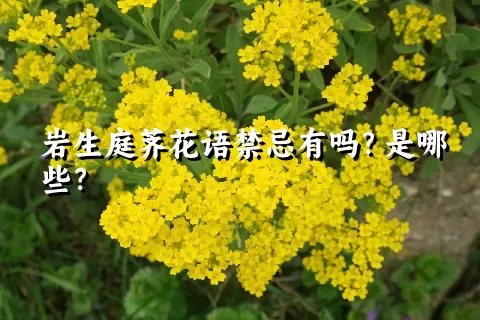 岩生庭荠花语禁忌有吗？是哪些？