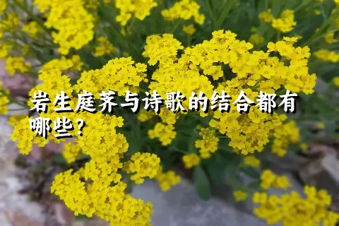 岩生庭荠与诗歌的结合都有哪些？