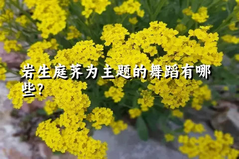 岩生庭荠为主题的舞蹈有哪些？