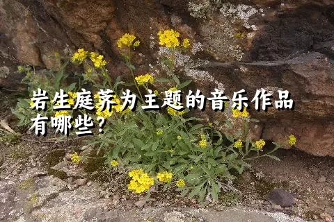 岩生庭荠为主题的音乐作品有哪些？