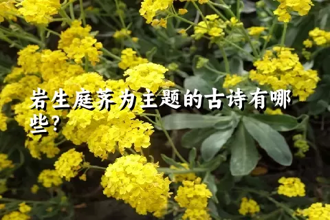 岩生庭荠为主题的古诗有哪些？