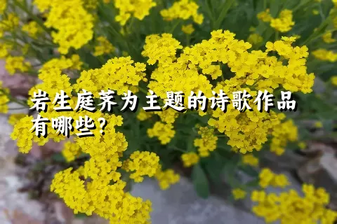 岩生庭荠为主题的诗歌作品有哪些？