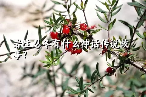 岩生忍冬有什么神话传说故事？