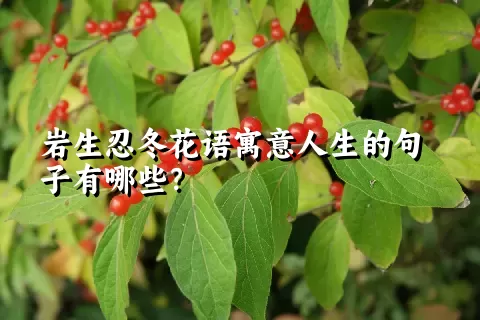 岩生忍冬花语寓意人生的句子有哪些？