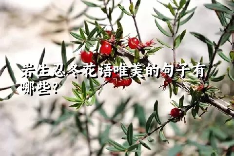 岩生忍冬花语唯美的句子有哪些？