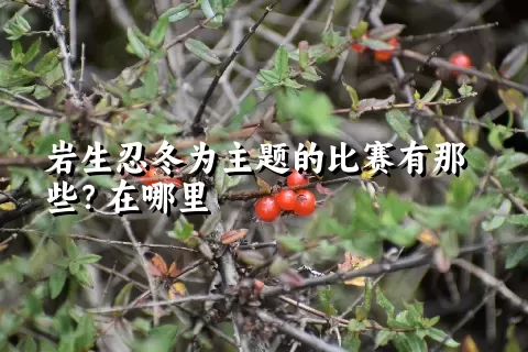 岩生忍冬为主题的比赛有那些？在哪里