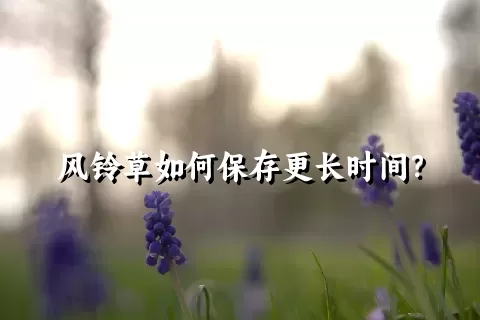 风铃草如何保存更长时间？