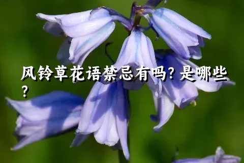 风铃草花语禁忌有吗？是哪些？