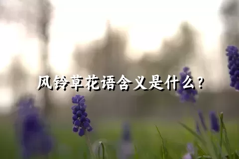 风铃草花语含义是什么？