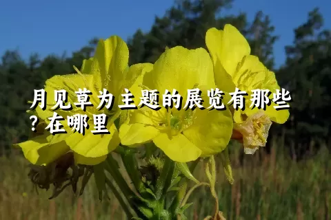 月见草为主题的展览有那些？在哪里