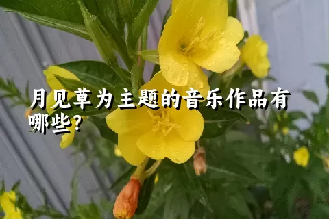 月见草为主题的音乐作品有哪些？