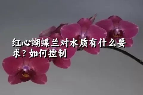 红心蝴蝶兰对水质有什么要求？如何控制