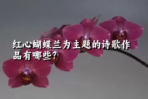 红心蝴蝶兰为主题的诗歌作品有哪些？