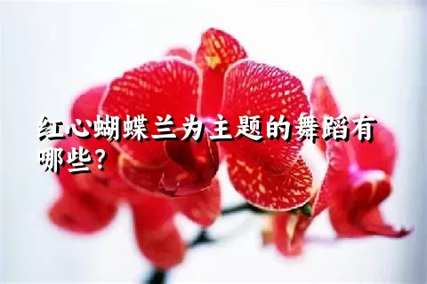 红心蝴蝶兰为主题的舞蹈有哪些？