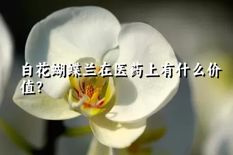 白花蝴蝶兰在医药上有什么价值？