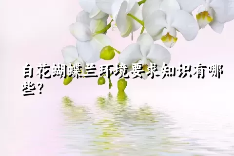 白花蝴蝶兰环境要求知识有哪些？