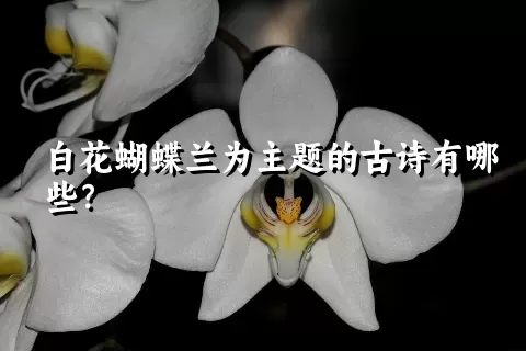 白花蝴蝶兰为主题的古诗有哪些？