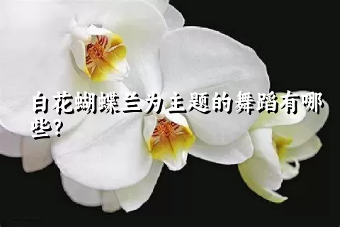 白花蝴蝶兰为主题的舞蹈有哪些？