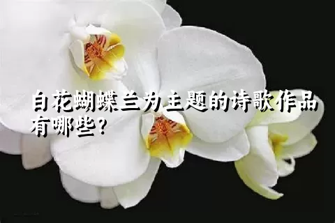 白花蝴蝶兰为主题的诗歌作品有哪些？