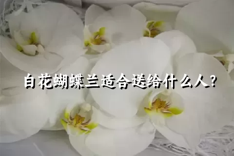 白花蝴蝶兰适合送给什么人？