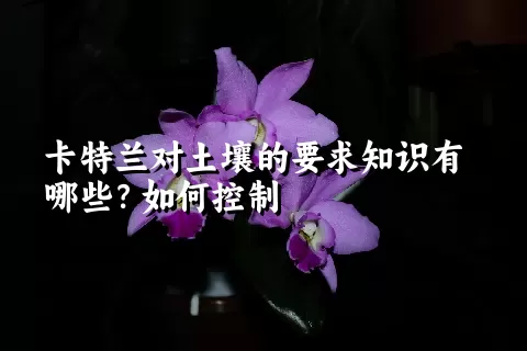 卡特兰对土壤的要求知识有哪些？如何控制