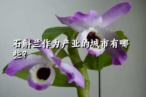 石斛兰作为产业的城市有哪些？