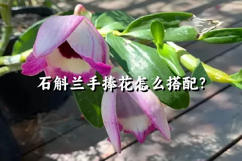 石斛兰手捧花怎么搭配？