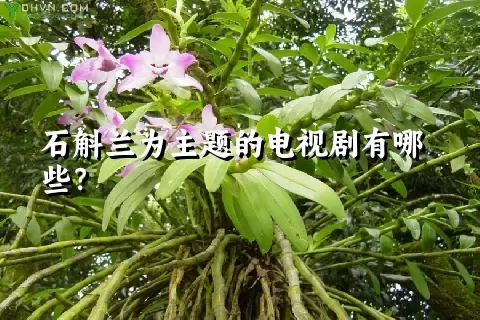 石斛兰为主题的电视剧有哪些？