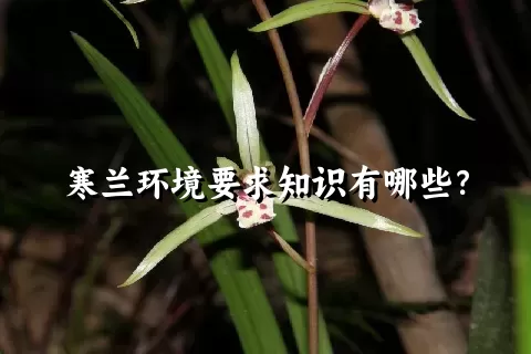 寒兰环境要求知识有哪些？